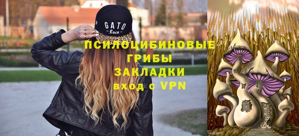 соль ск Белоозёрский