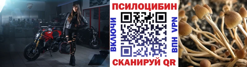 Псилоцибиновые грибы Cubensis  Белый 